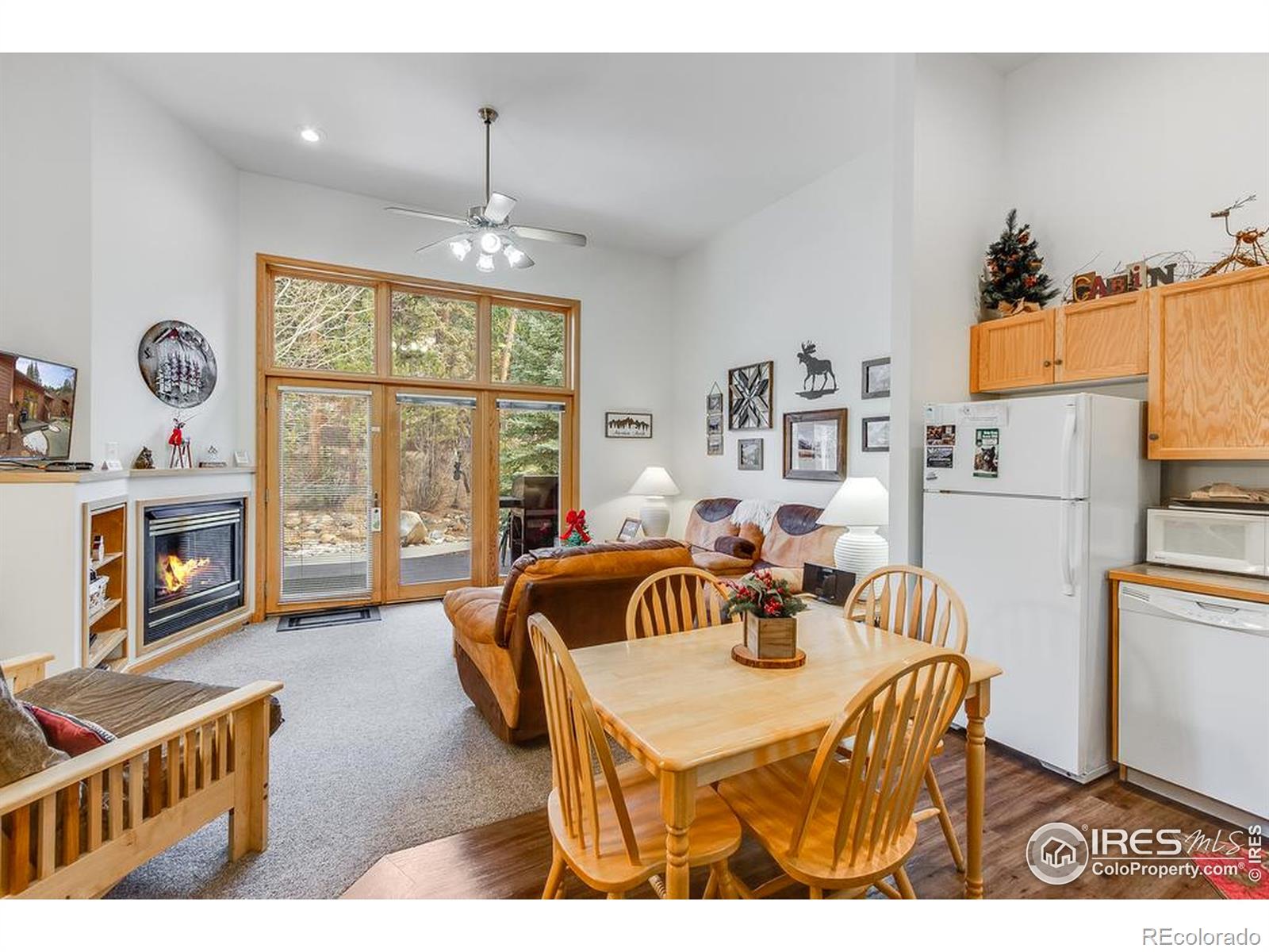 MLS Image #21 for 2120  fall river road,estes park, Colorado