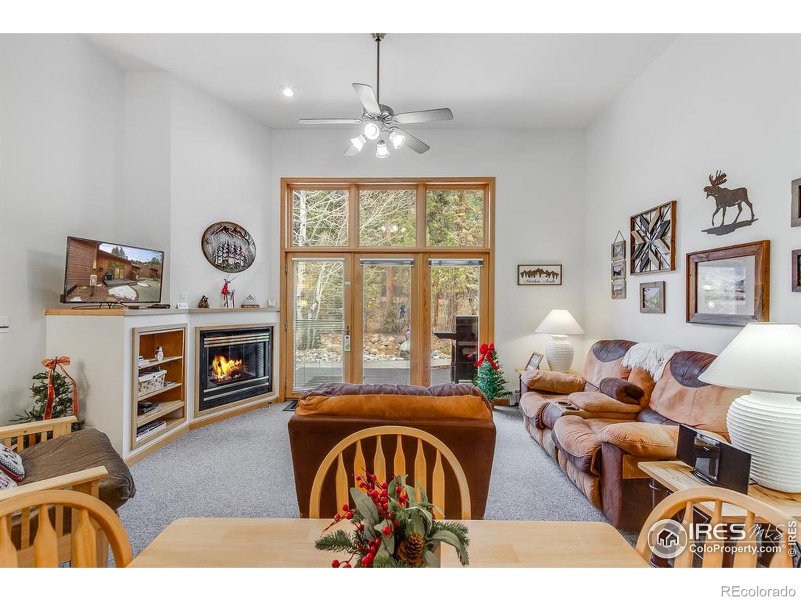MLS Image #22 for 2120  fall river road,estes park, Colorado