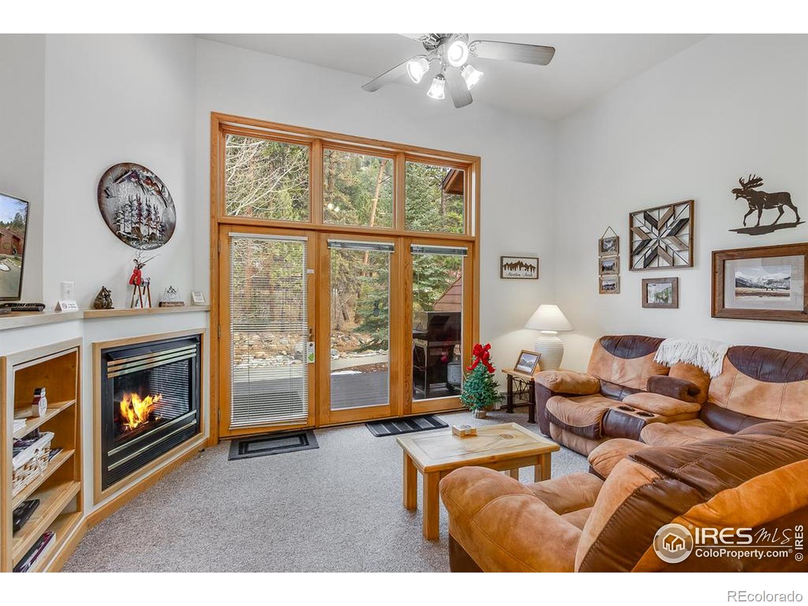 MLS Image #7 for 2120  fall river road,estes park, Colorado