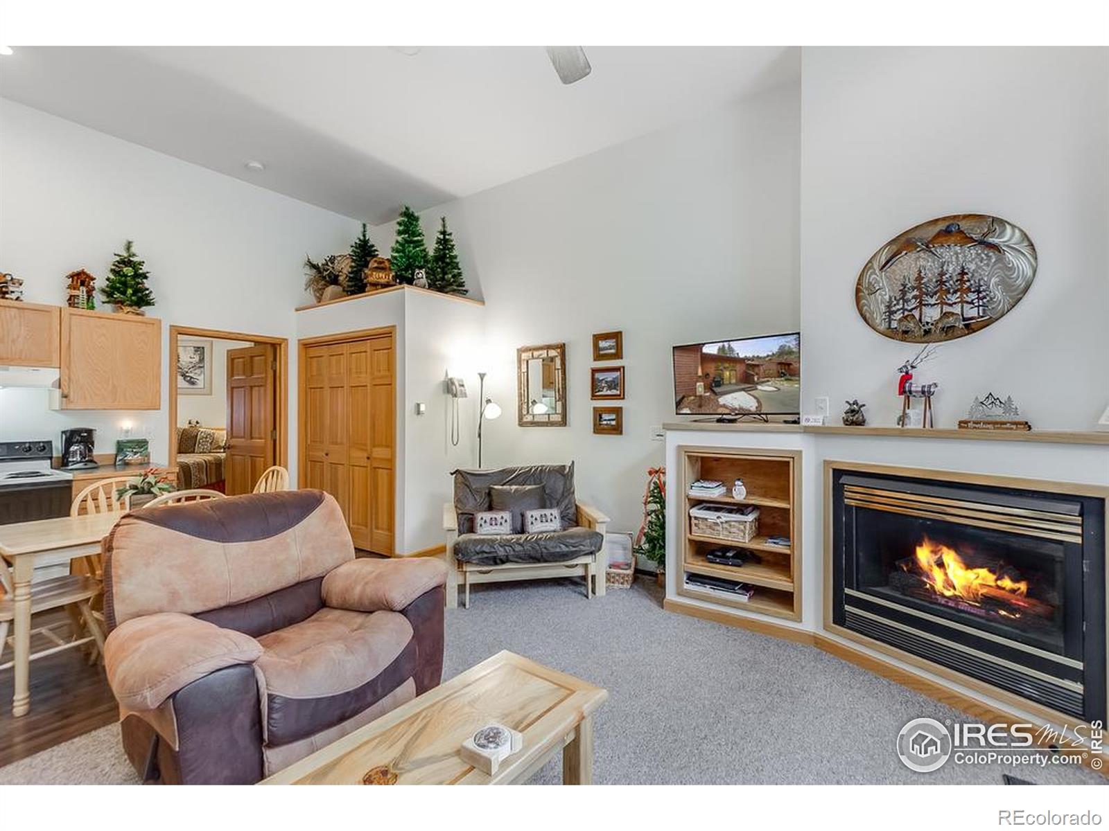 MLS Image #8 for 2120  fall river road,estes park, Colorado