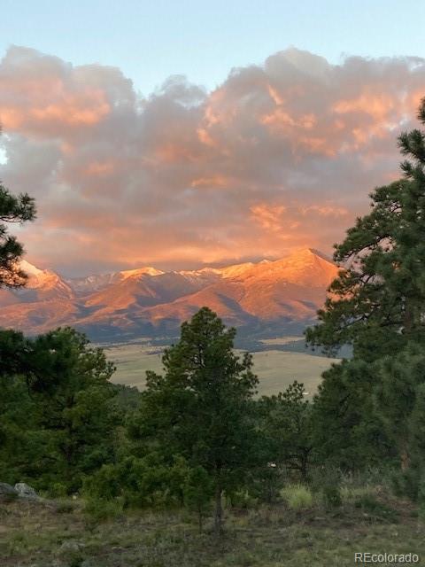 MLS Image #1 for 2613  pheasant loop ,westcliffe, Colorado