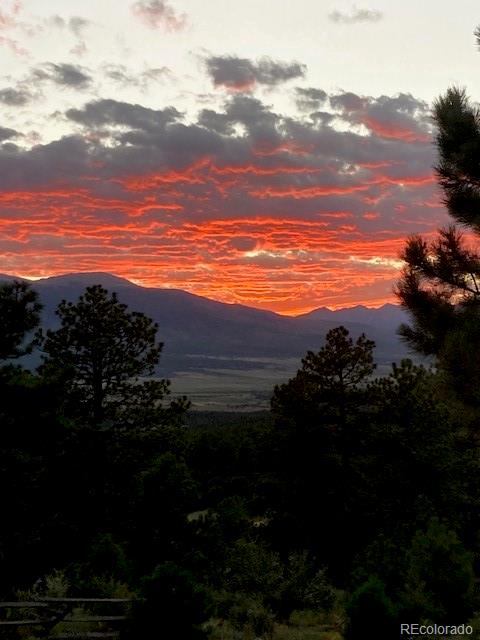 MLS Image #14 for 2613  pheasant loop ,westcliffe, Colorado