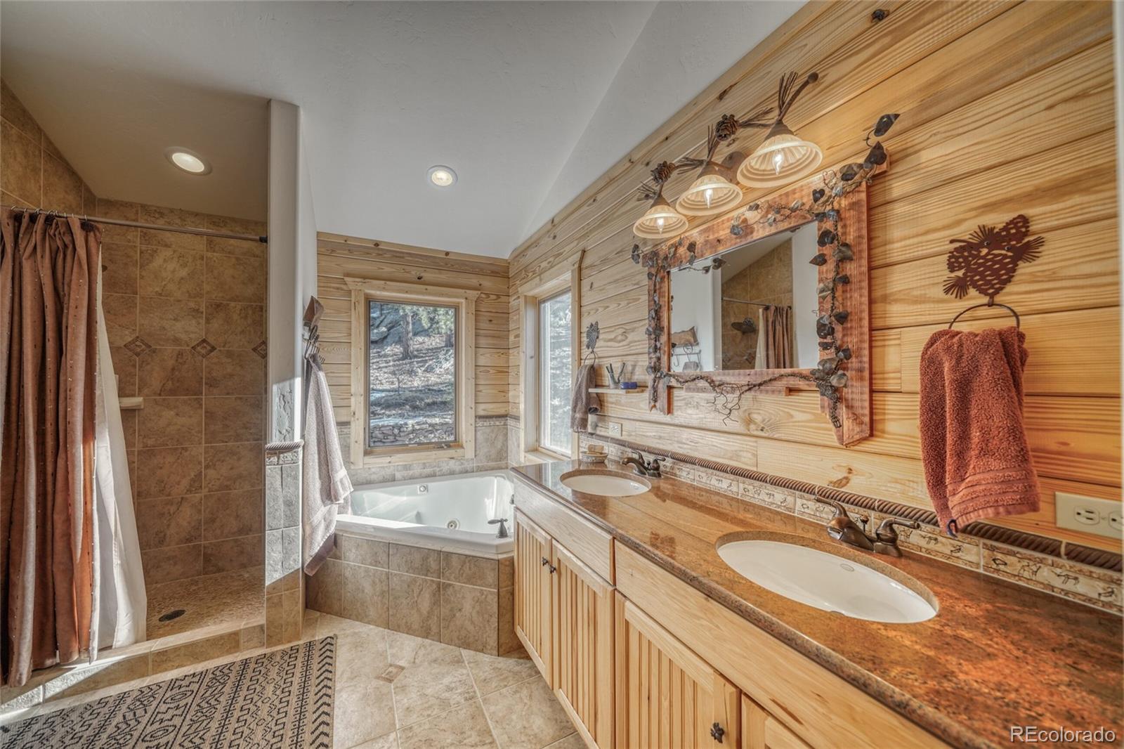 MLS Image #17 for 2613  pheasant loop ,westcliffe, Colorado