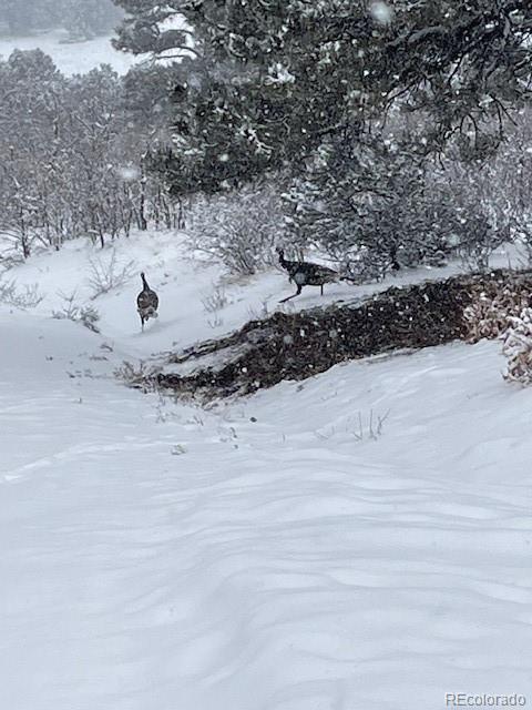 MLS Image #46 for 2613  pheasant loop ,westcliffe, Colorado