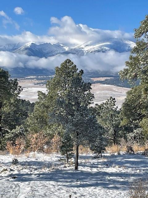 MLS Image #47 for 2613  pheasant loop ,westcliffe, Colorado