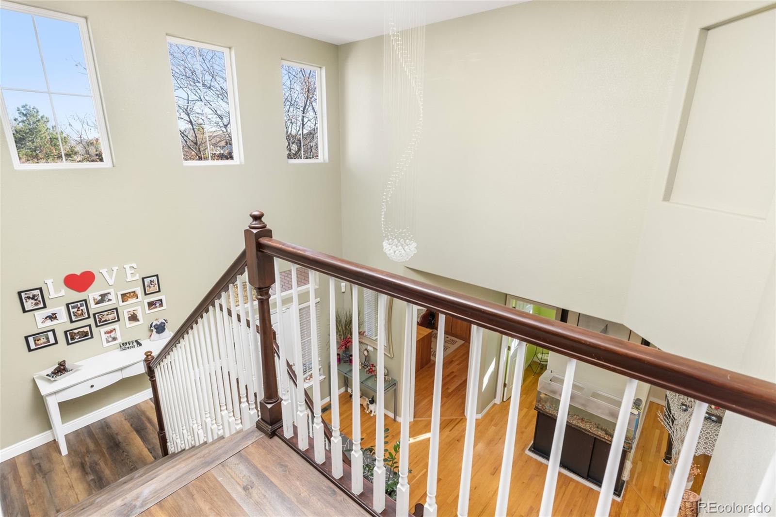 MLS Image #20 for 10899  bobcat terrace,lone tree, Colorado