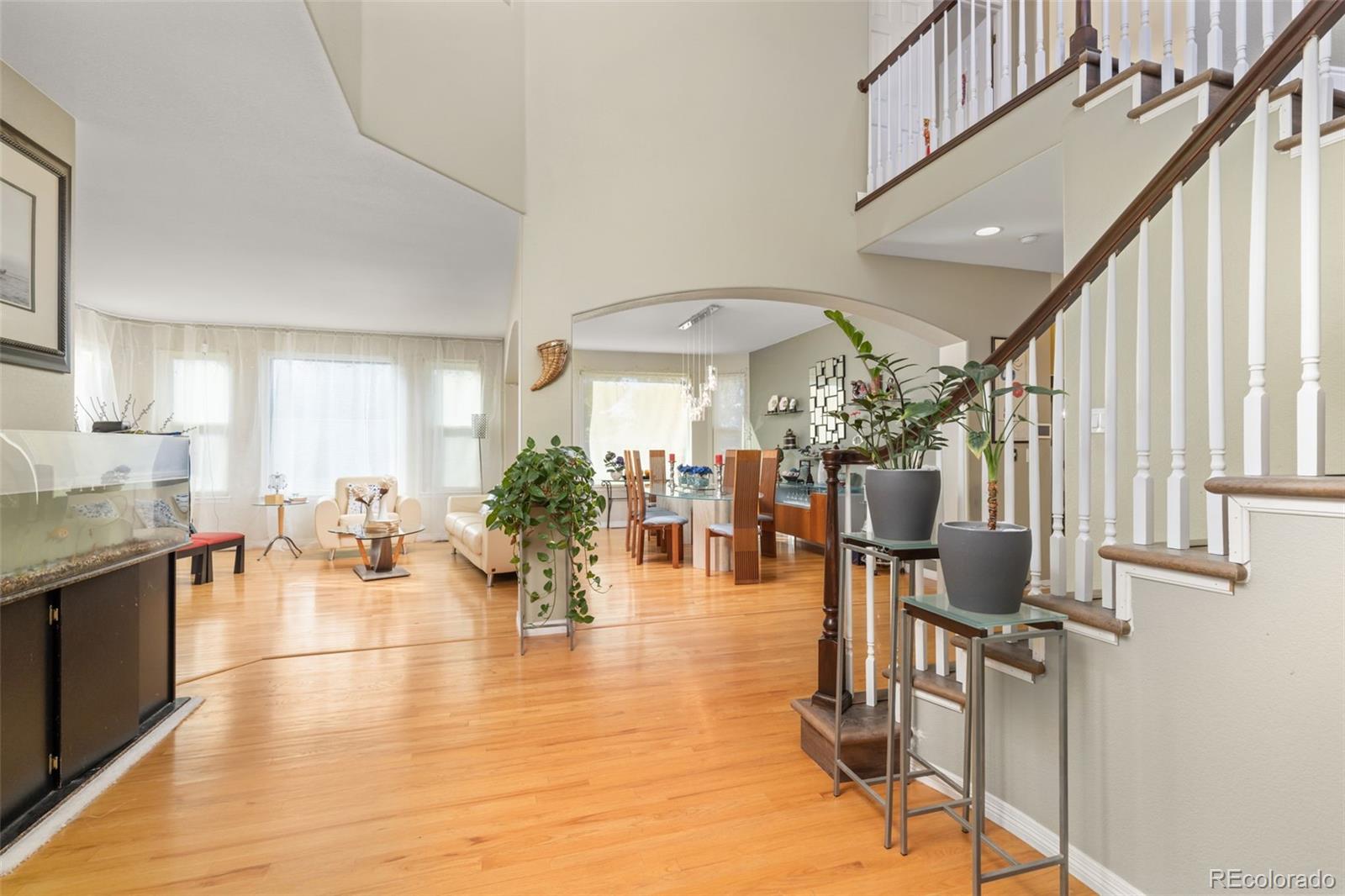 MLS Image #6 for 10899  bobcat terrace,lone tree, Colorado