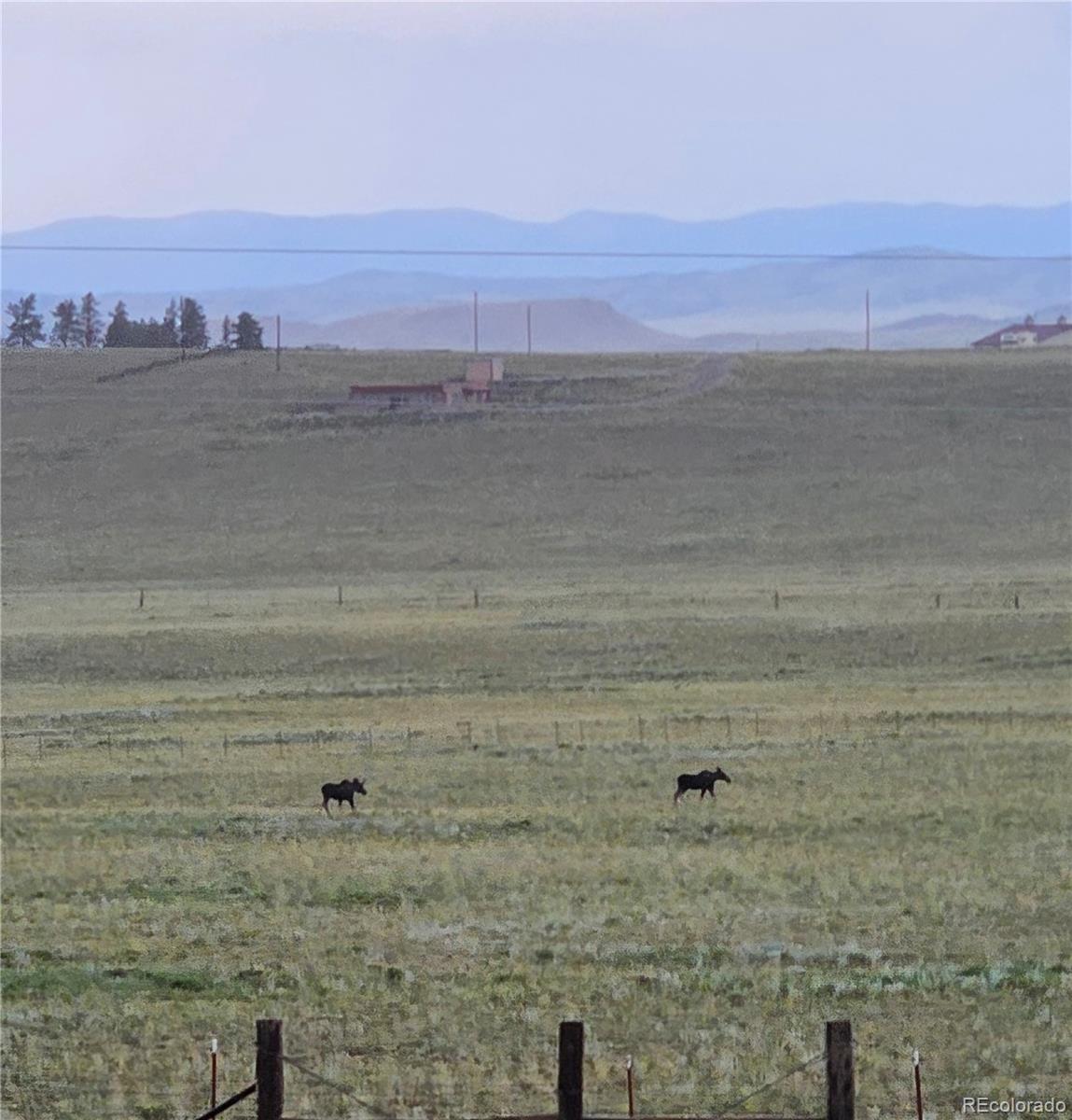 MLS Image #46 for 2660  campfire road,hartsel, Colorado