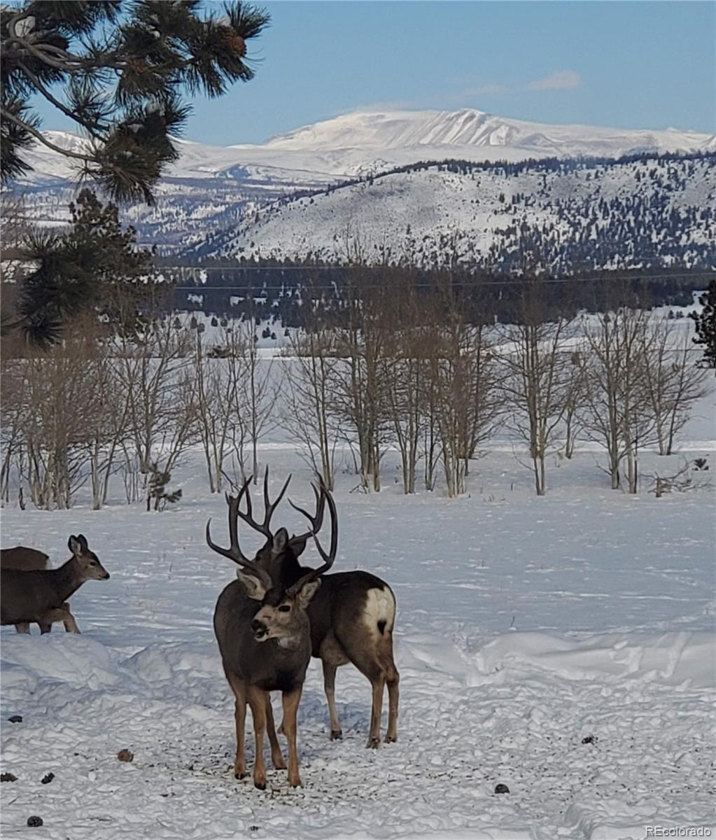 MLS Image #48 for 2660  campfire road,hartsel, Colorado
