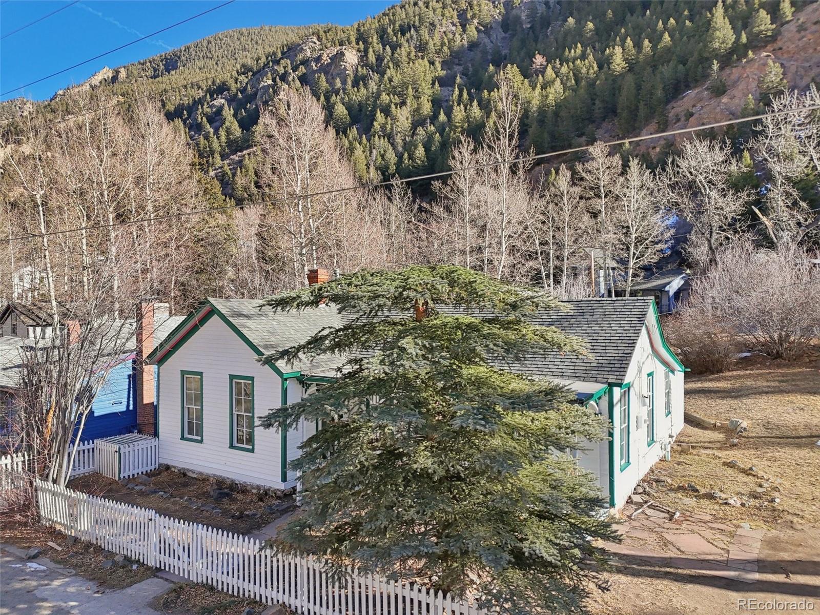 MLS Image #16 for 800  main street,georgetown, Colorado