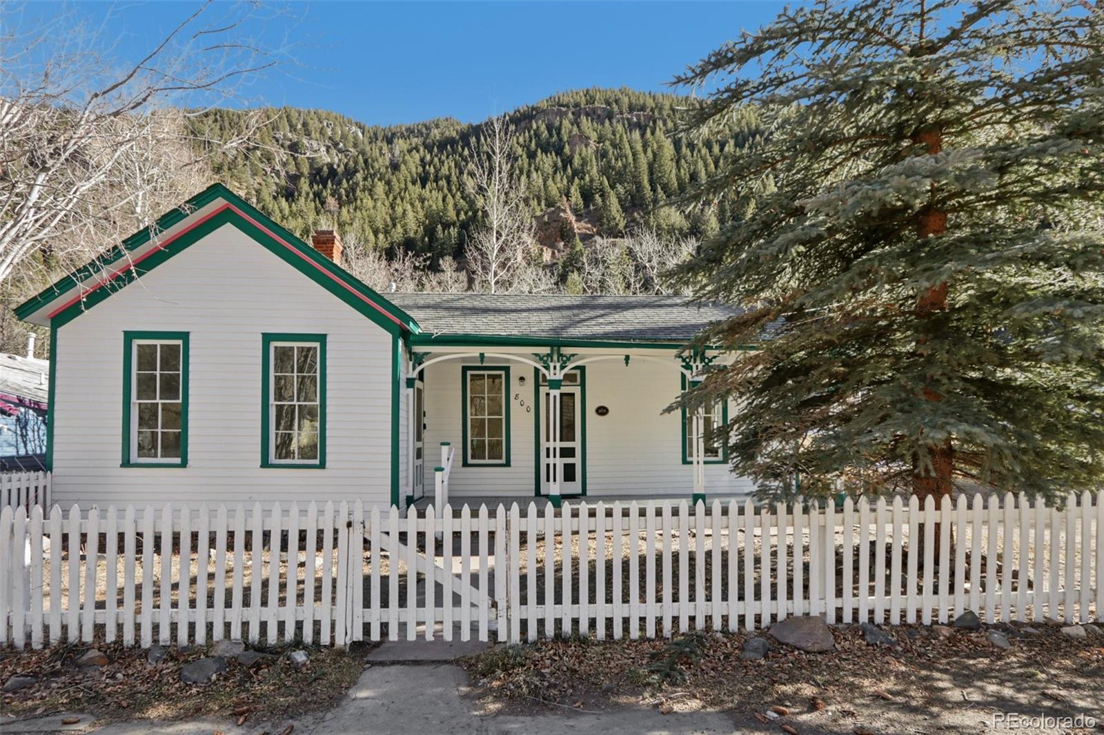 MLS Image #2 for 800  main street,georgetown, Colorado