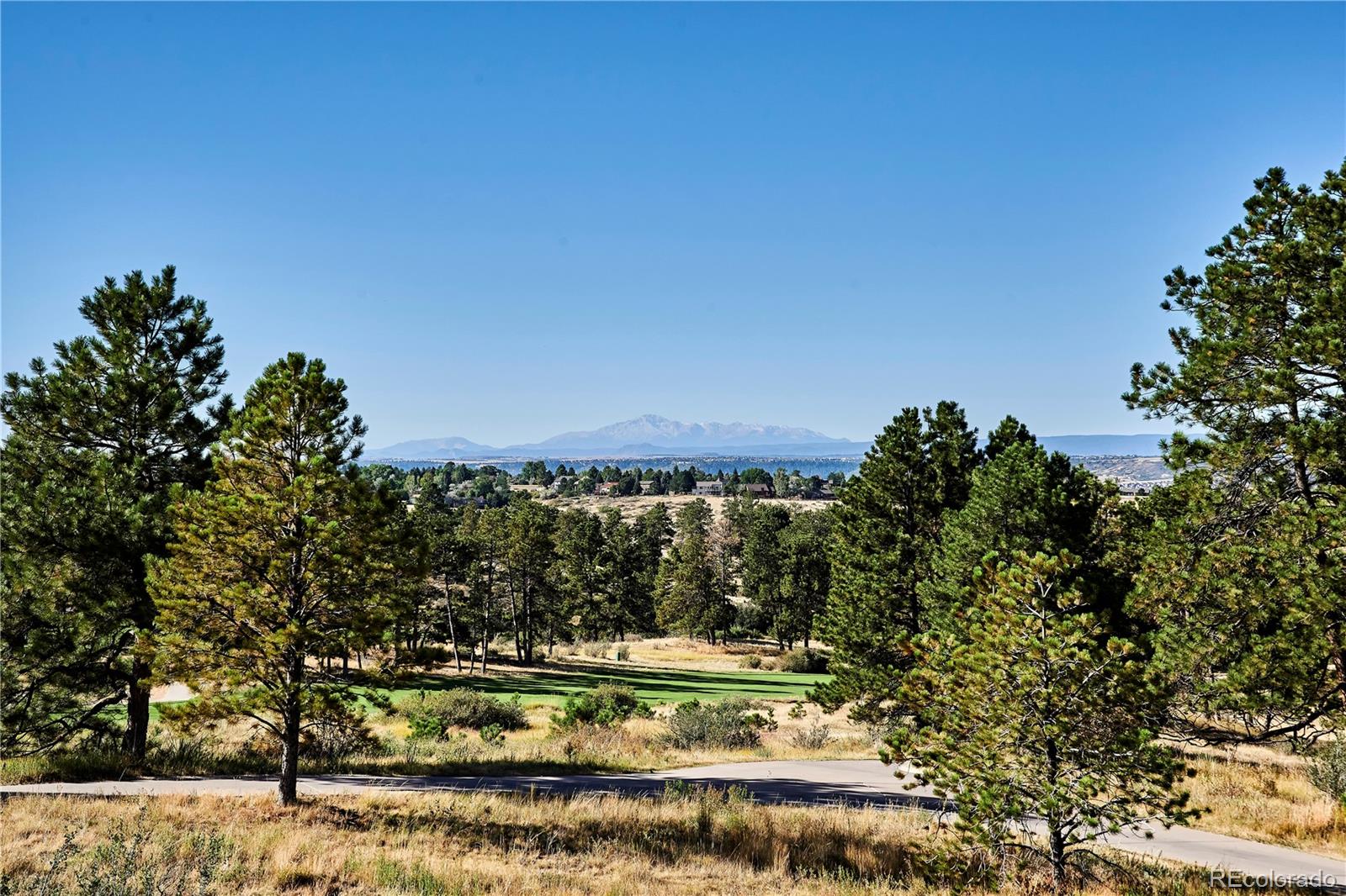 MLS Image #14 for 8079  painted pine street,parker, Colorado