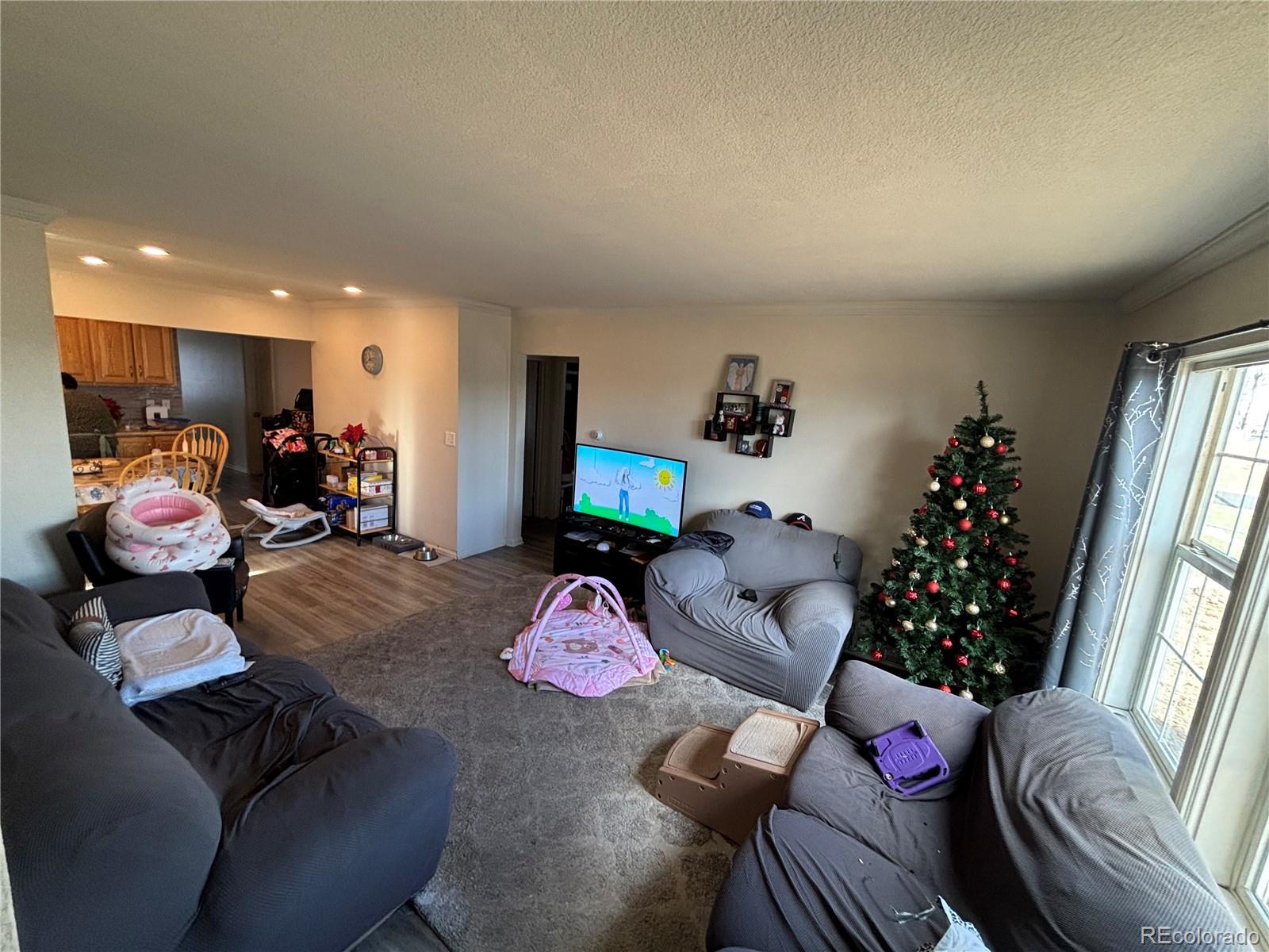 MLS Image #10 for 4545  raritan street,denver, Colorado