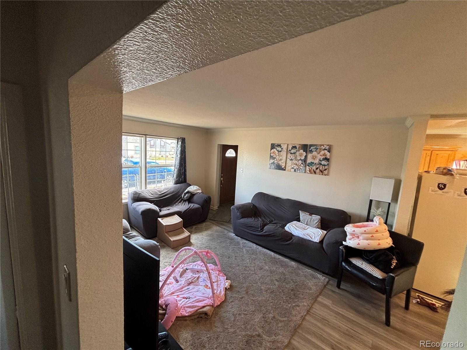 MLS Image #11 for 4545  raritan street,denver, Colorado