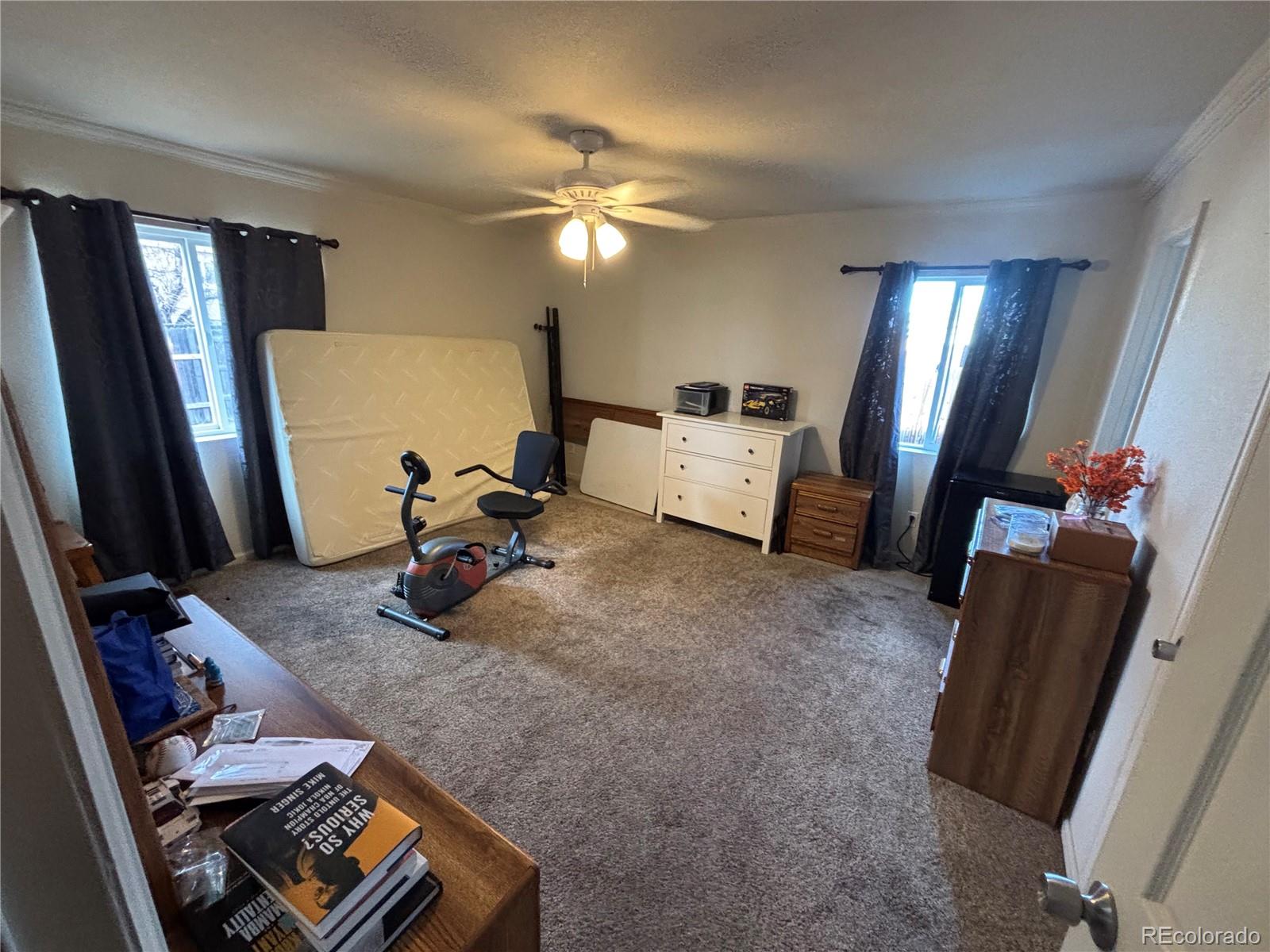 MLS Image #15 for 4545  raritan street,denver, Colorado