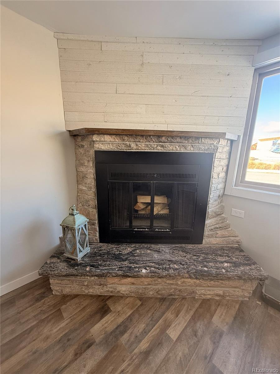 MLS Image #11 for 305  chestnut street,leadville, Colorado