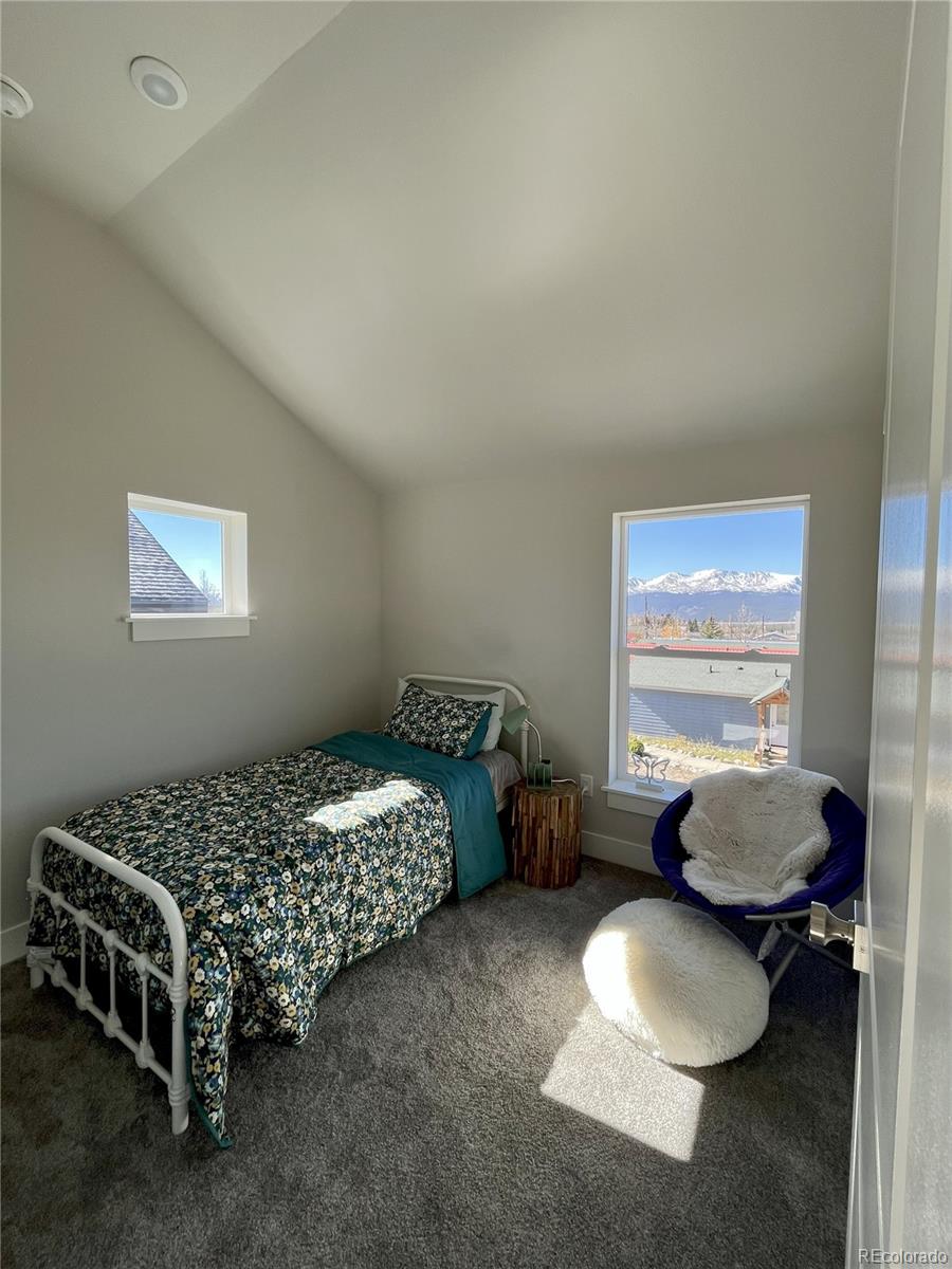 MLS Image #21 for 1311  grand review drive,leadville, Colorado