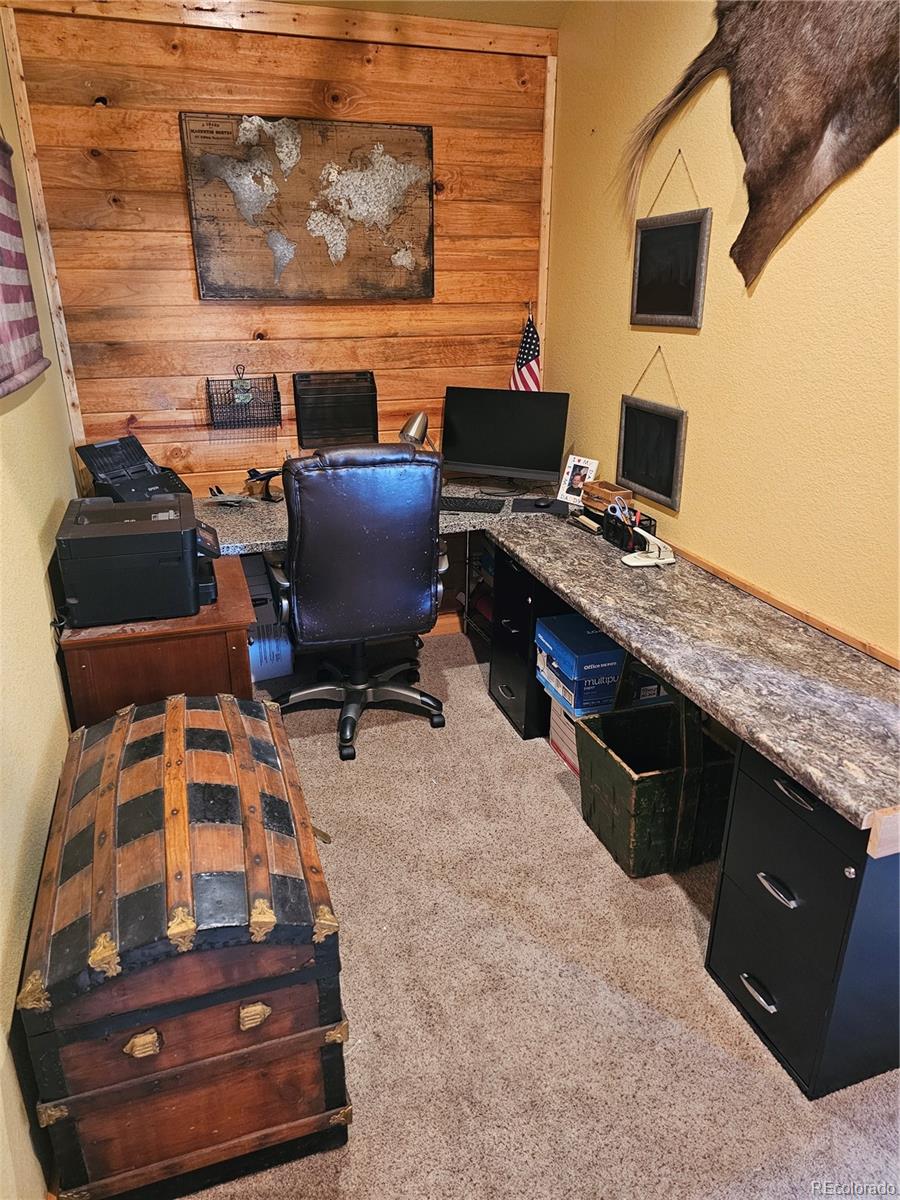 MLS Image #14 for 133  gold trail,fairplay, Colorado