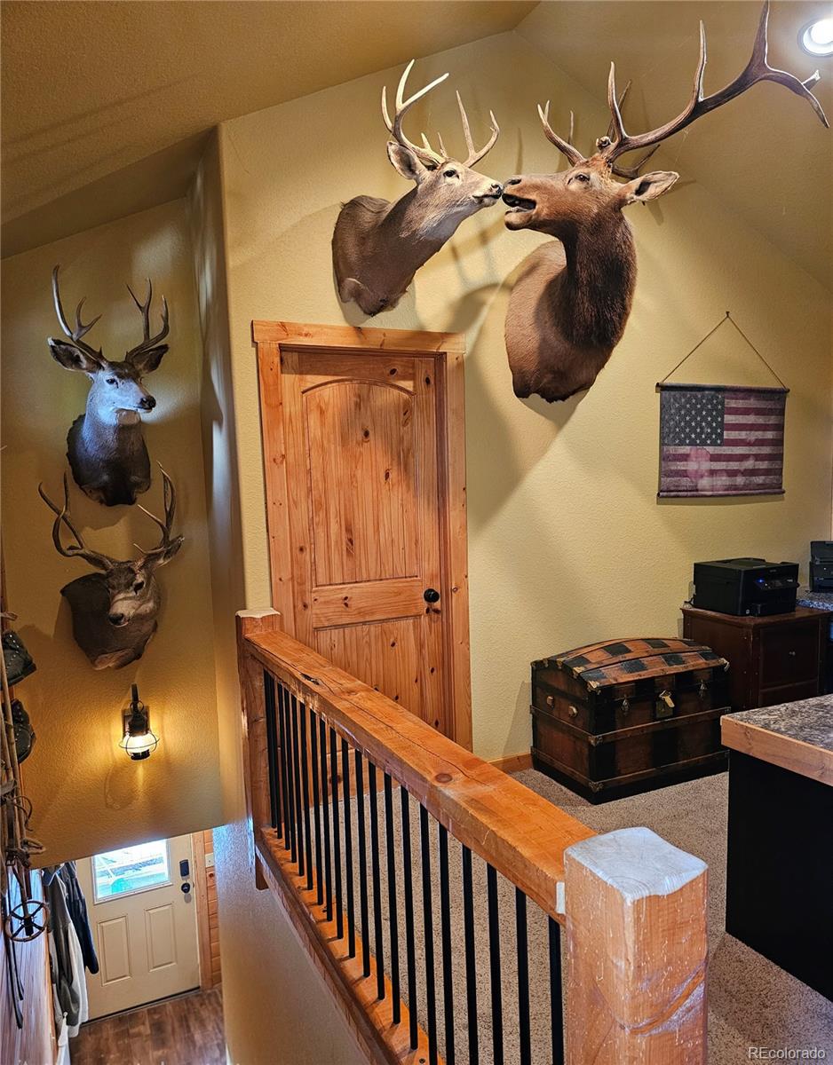 MLS Image #15 for 133  gold trail,fairplay, Colorado