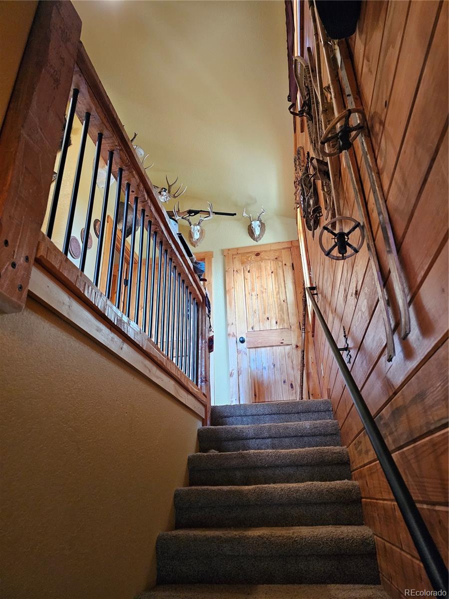 MLS Image #17 for 133  gold trail,fairplay, Colorado