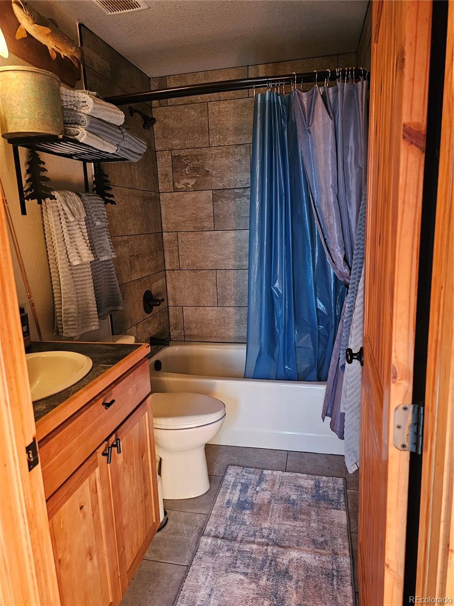 MLS Image #18 for 133  gold trail,fairplay, Colorado