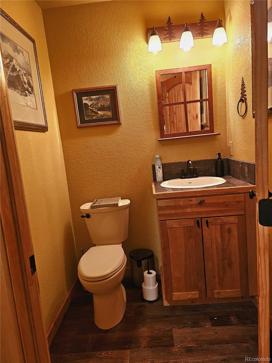 MLS Image #19 for 133  gold trail,fairplay, Colorado