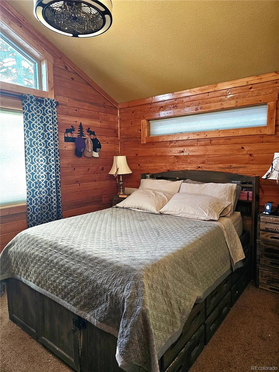 MLS Image #9 for 133  gold trail,fairplay, Colorado