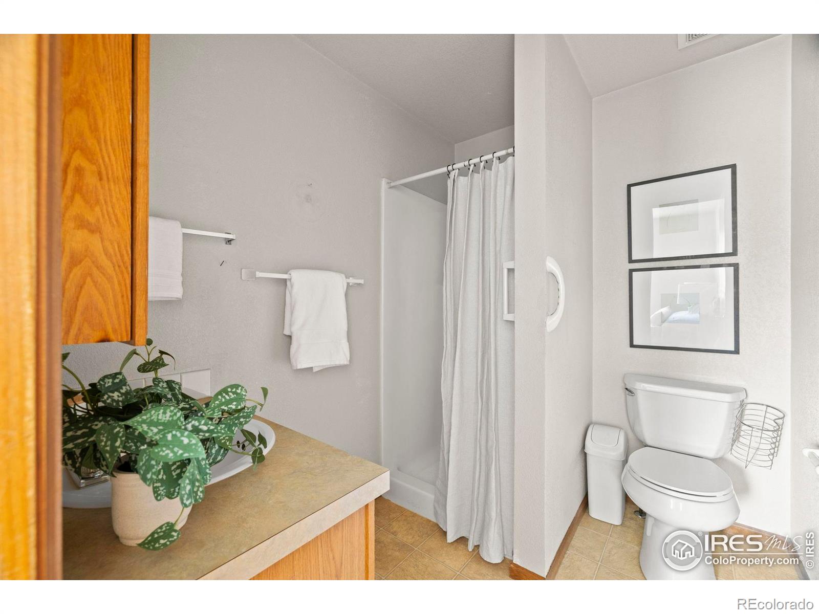 MLS Image #20 for 1372  lavender court,loveland, Colorado