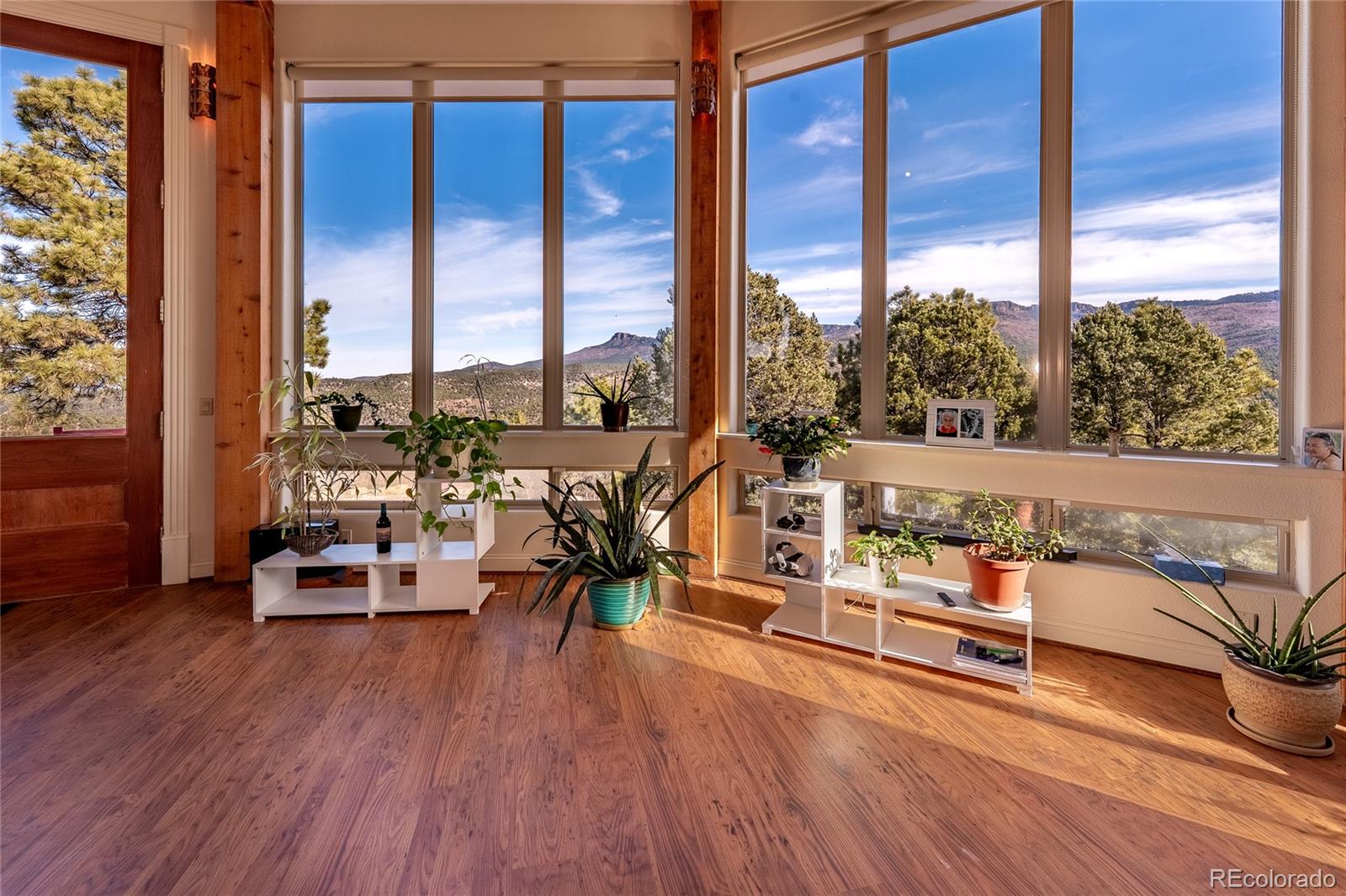 MLS Image #4 for 33247  fishers peak parkway,trinidad, Colorado