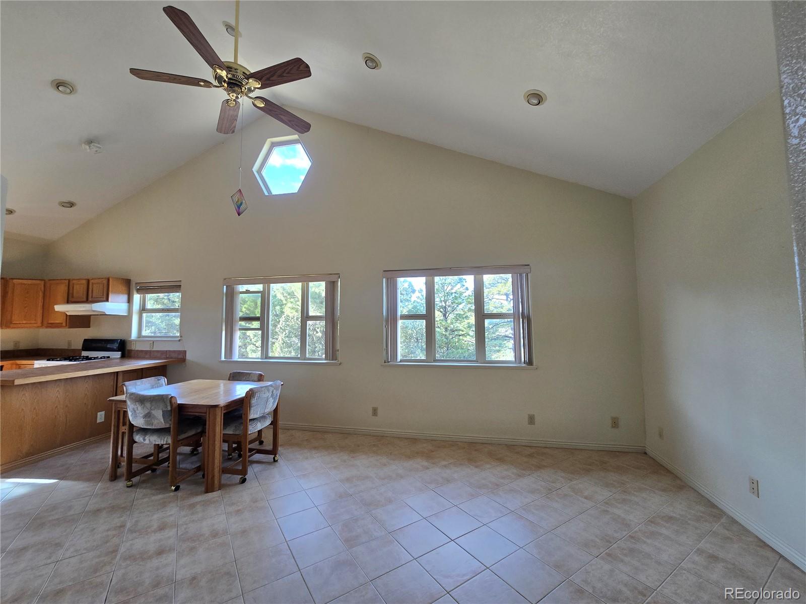 MLS Image #41 for 33247  fishers peak parkway,trinidad, Colorado