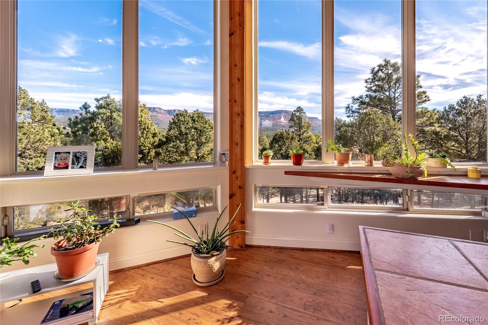 MLS Image #7 for 33247  fishers peak parkway,trinidad, Colorado