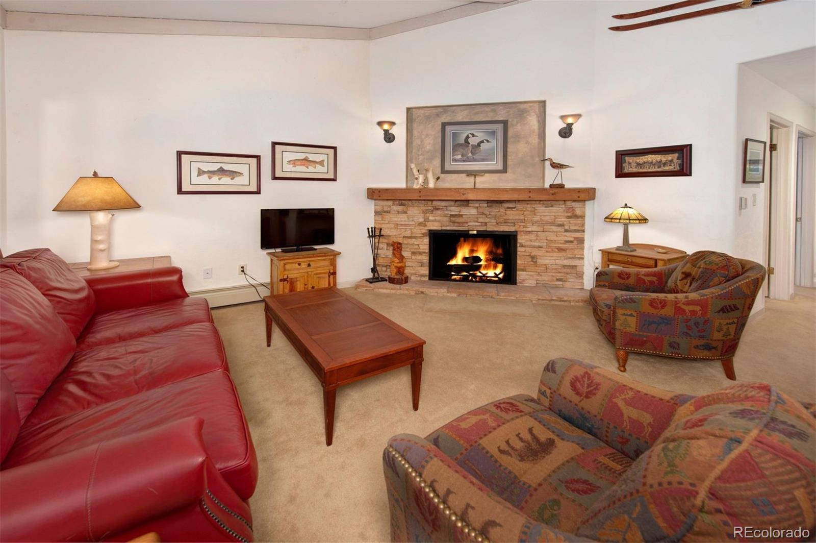 MLS Image #1 for 311 s high street 209,breckenridge, Colorado