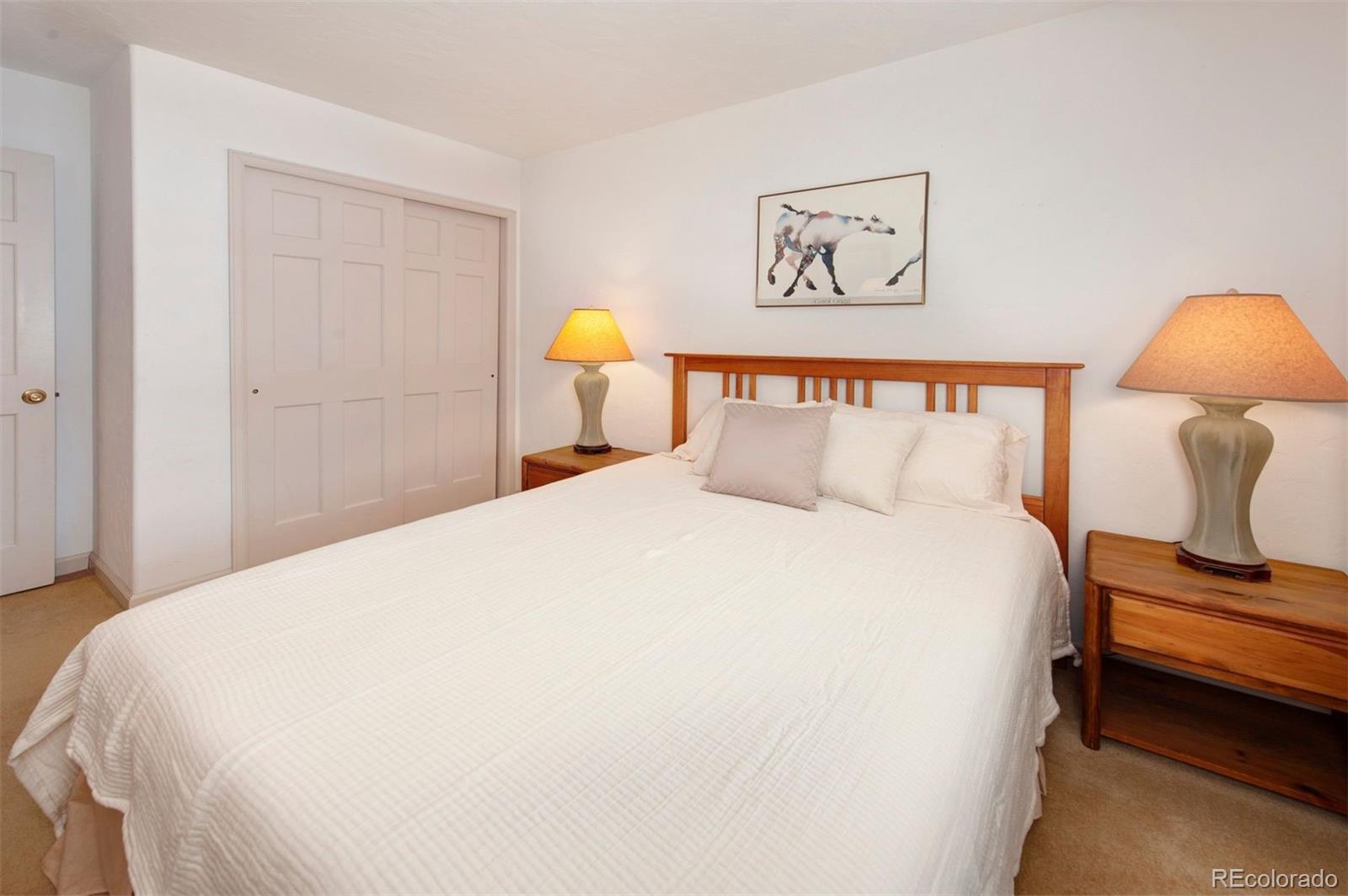 MLS Image #12 for 311 s high street 209,breckenridge, Colorado