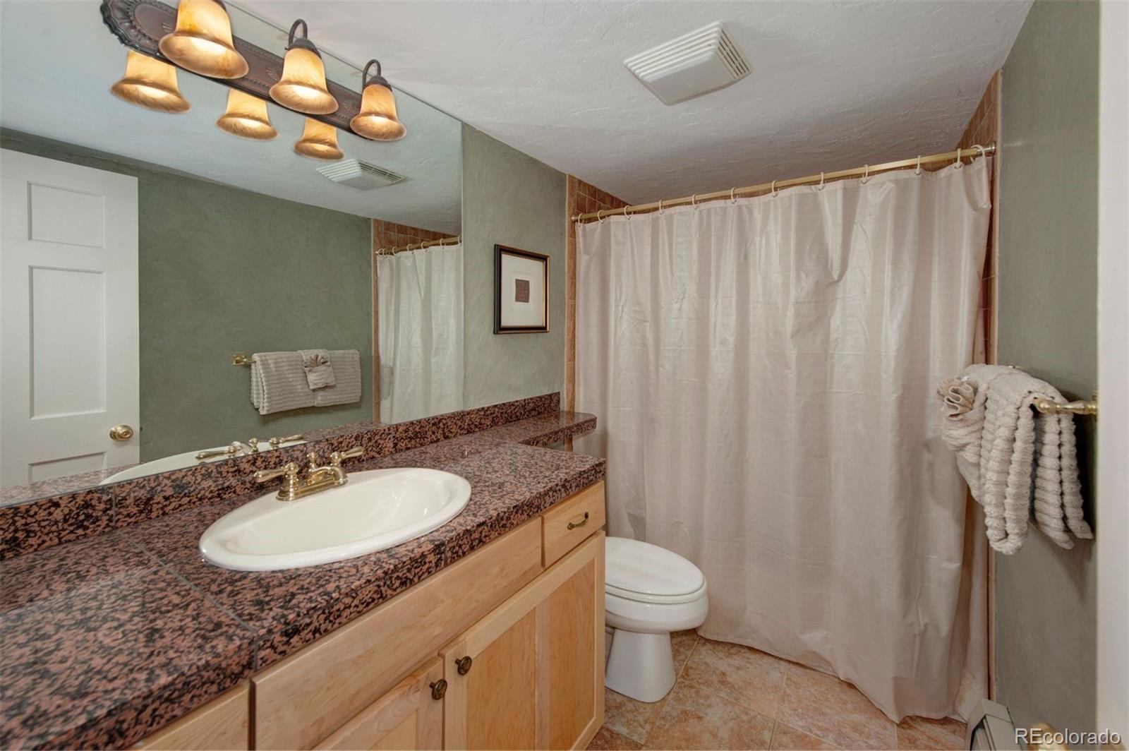 MLS Image #15 for 311 s high street 209,breckenridge, Colorado