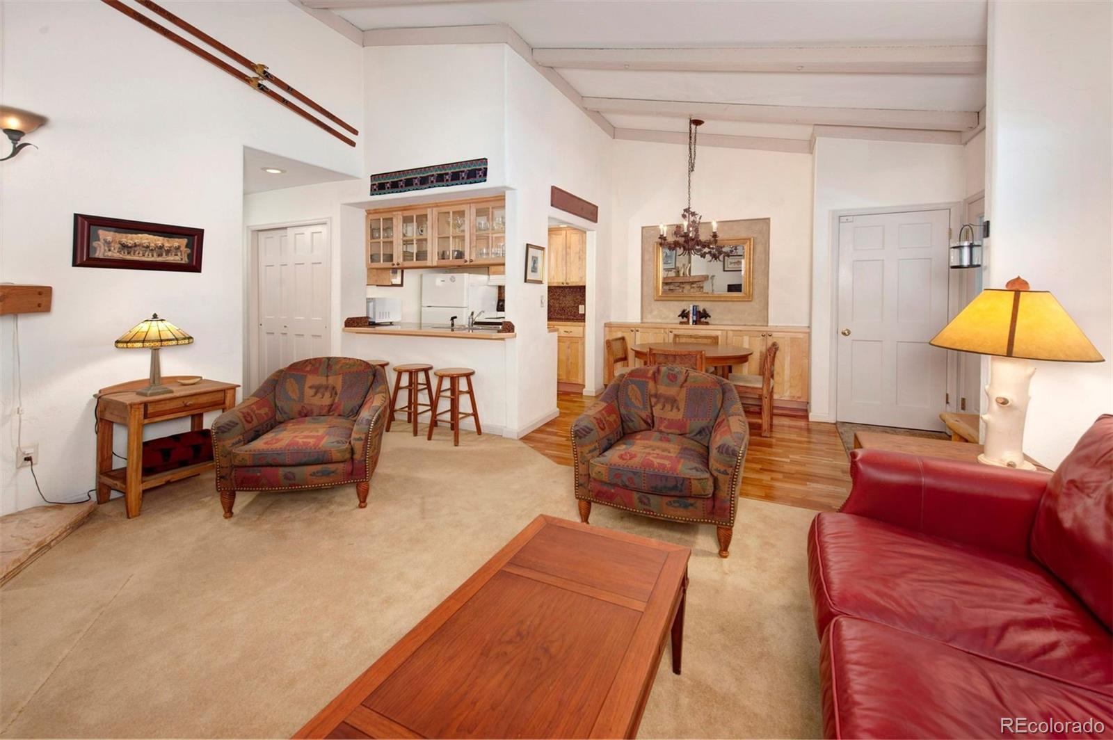 MLS Image #2 for 311 s high street 209,breckenridge, Colorado