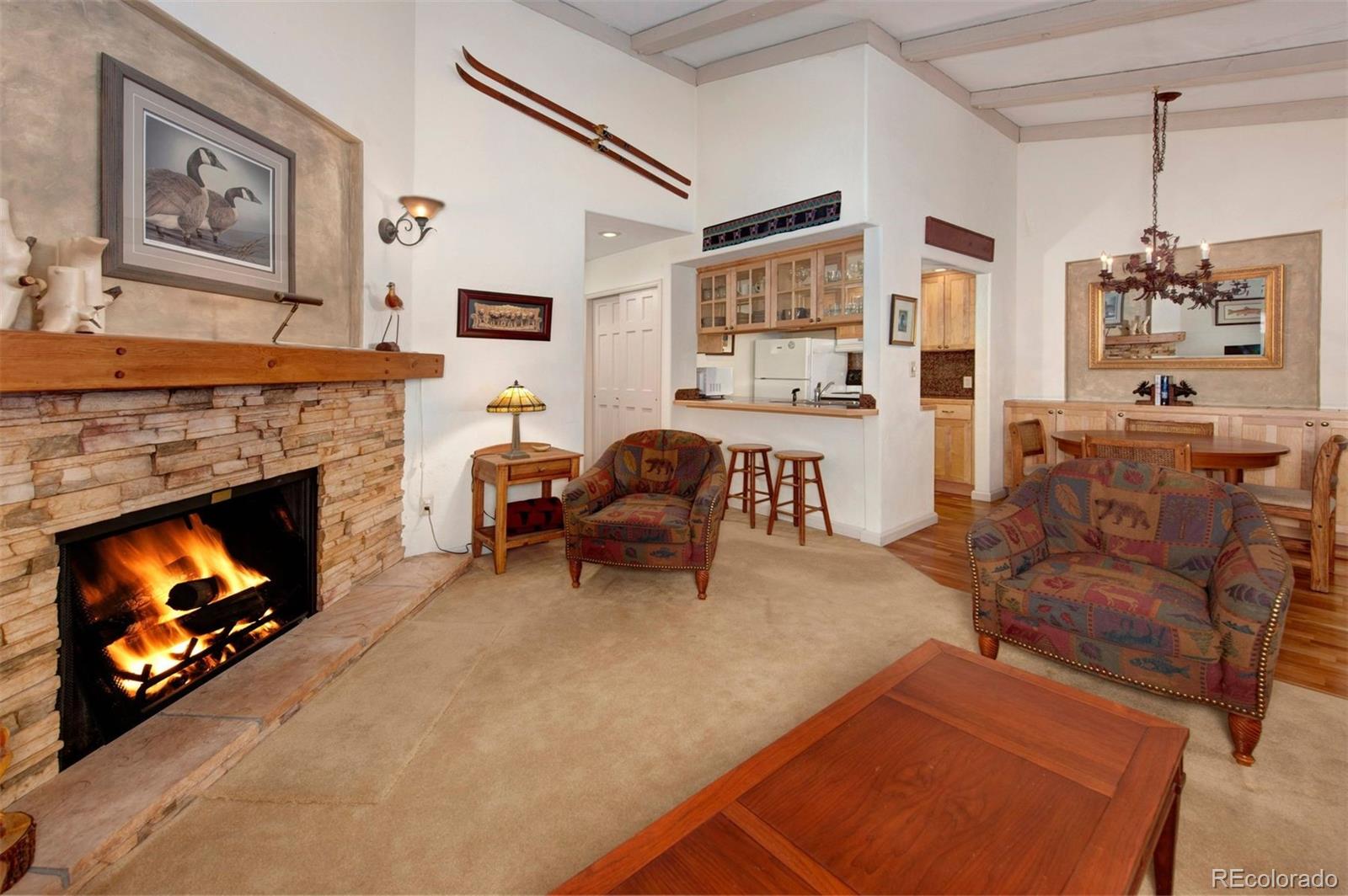MLS Image #4 for 311 s high street 209,breckenridge, Colorado