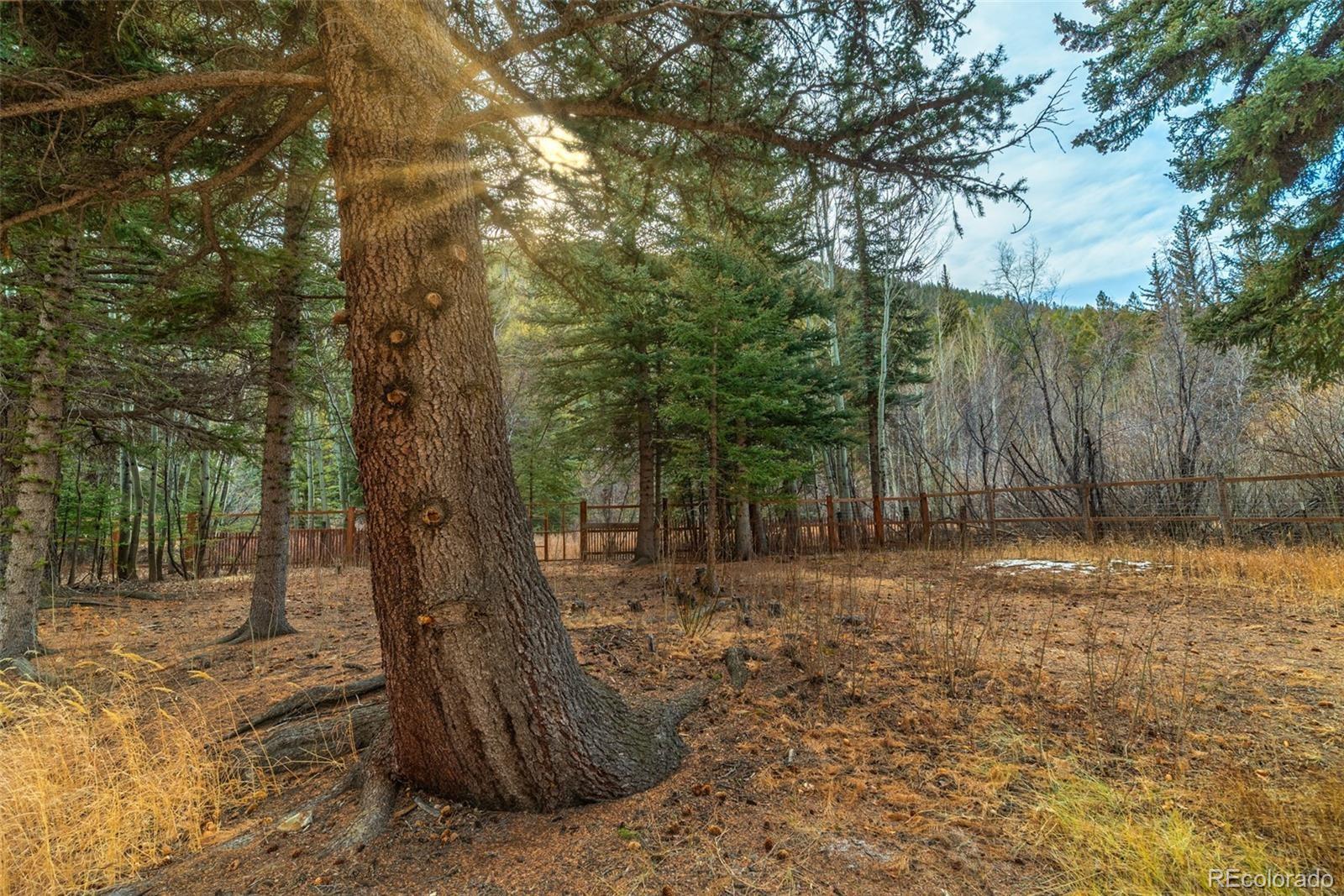 MLS Image #24 for 49756  highway 285 ,grant, Colorado