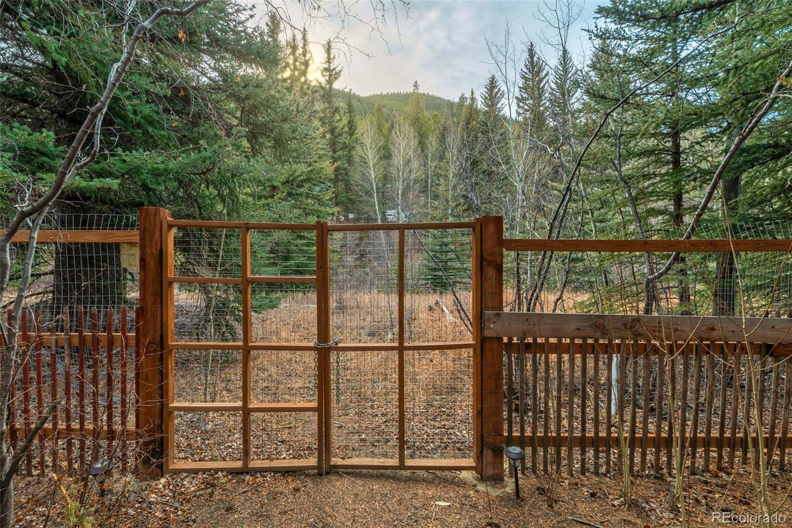 MLS Image #25 for 49756  highway 285 ,grant, Colorado