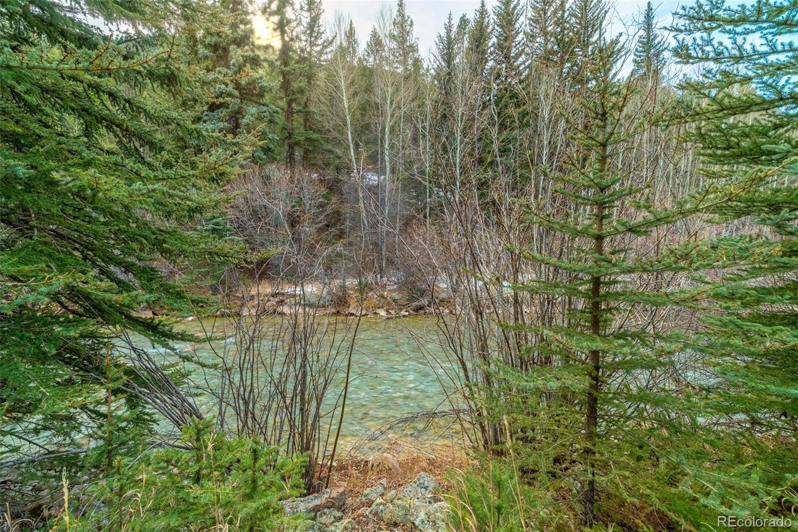 MLS Image #26 for 49756  highway 285 ,grant, Colorado