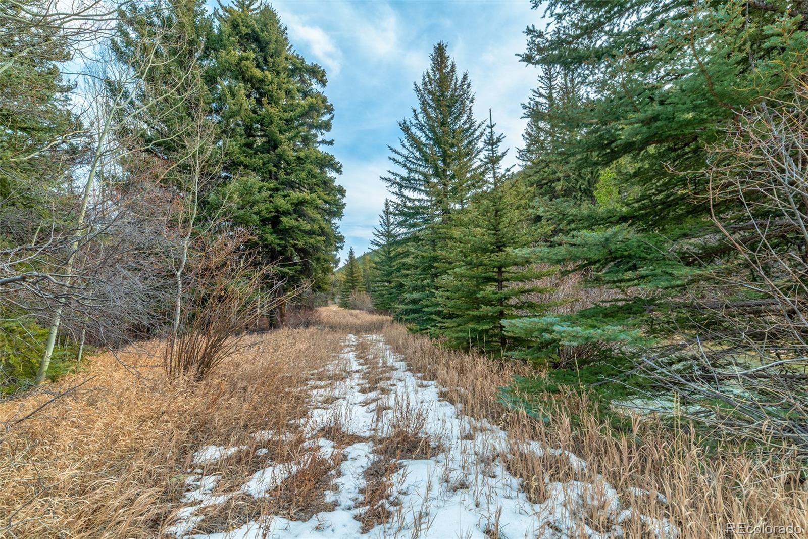 MLS Image #27 for 49756  highway 285 ,grant, Colorado