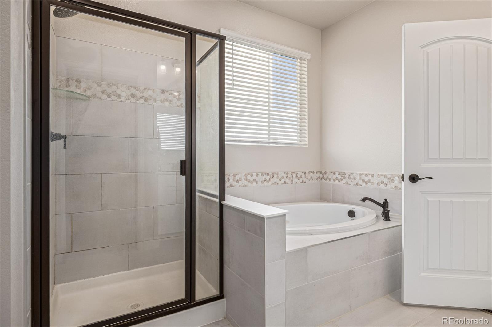 MLS Image #24 for 13400  waterthrush street,parker, Colorado