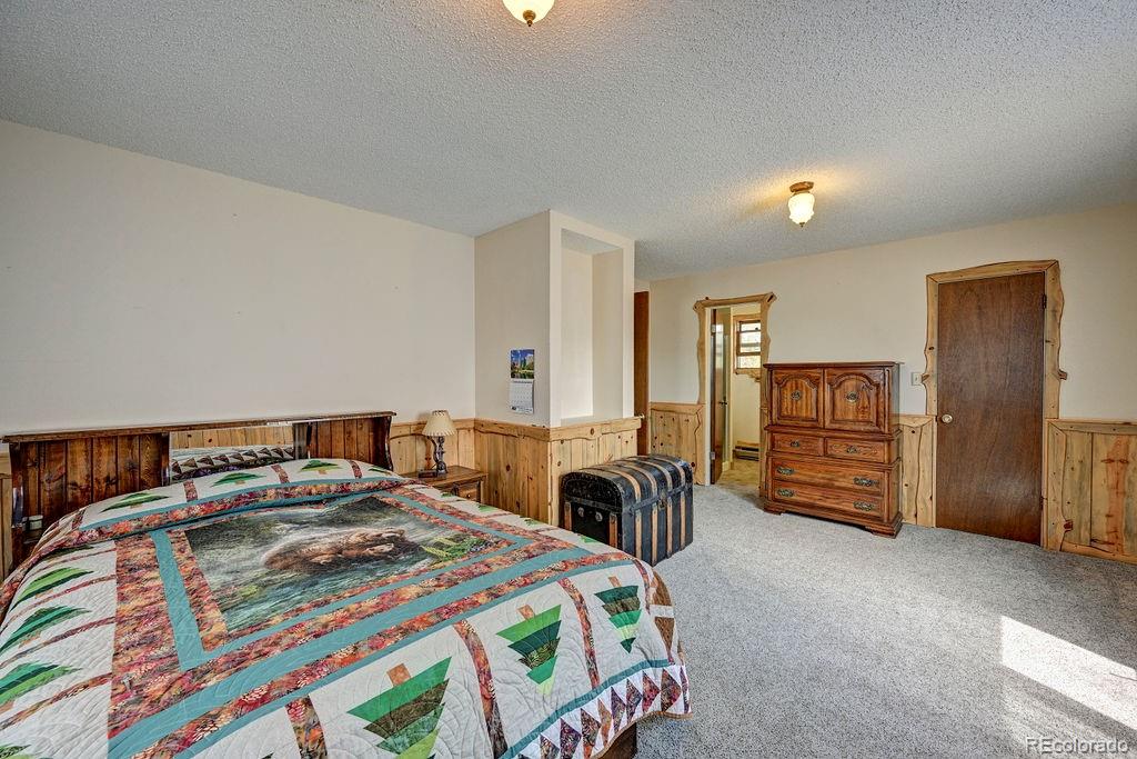 MLS Image #28 for 15245  cr 353 ,buena vista, Colorado