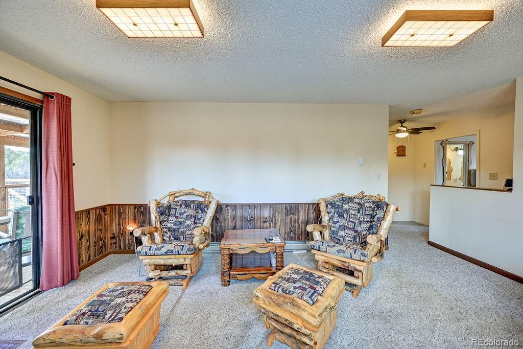 MLS Image #3 for 15245  cr 353 ,buena vista, Colorado