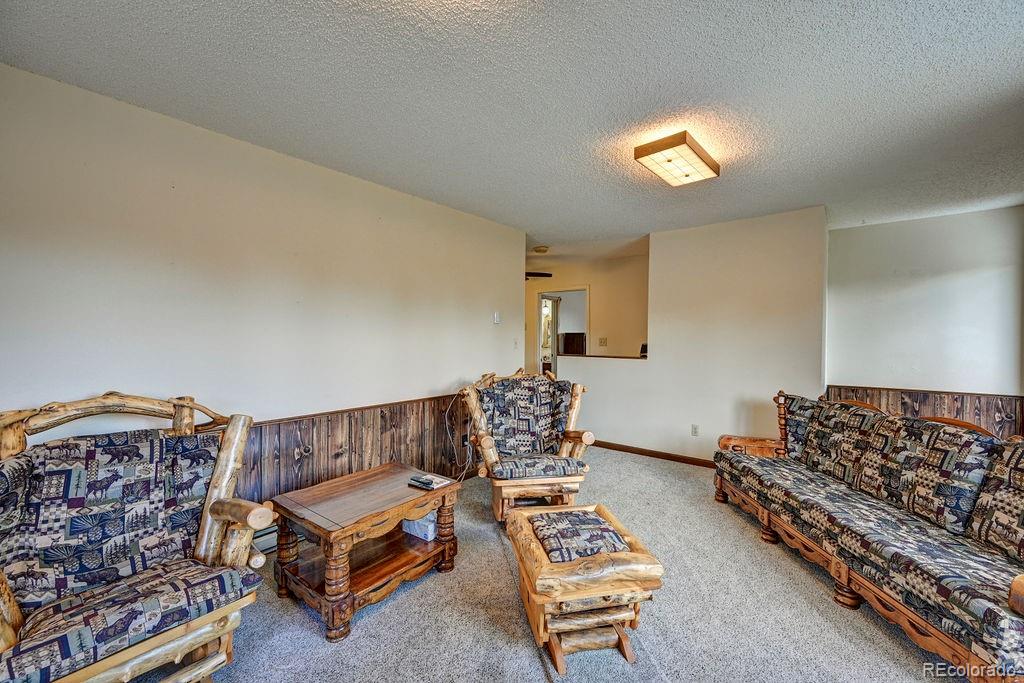 MLS Image #43 for 15245  cr 353 ,buena vista, Colorado