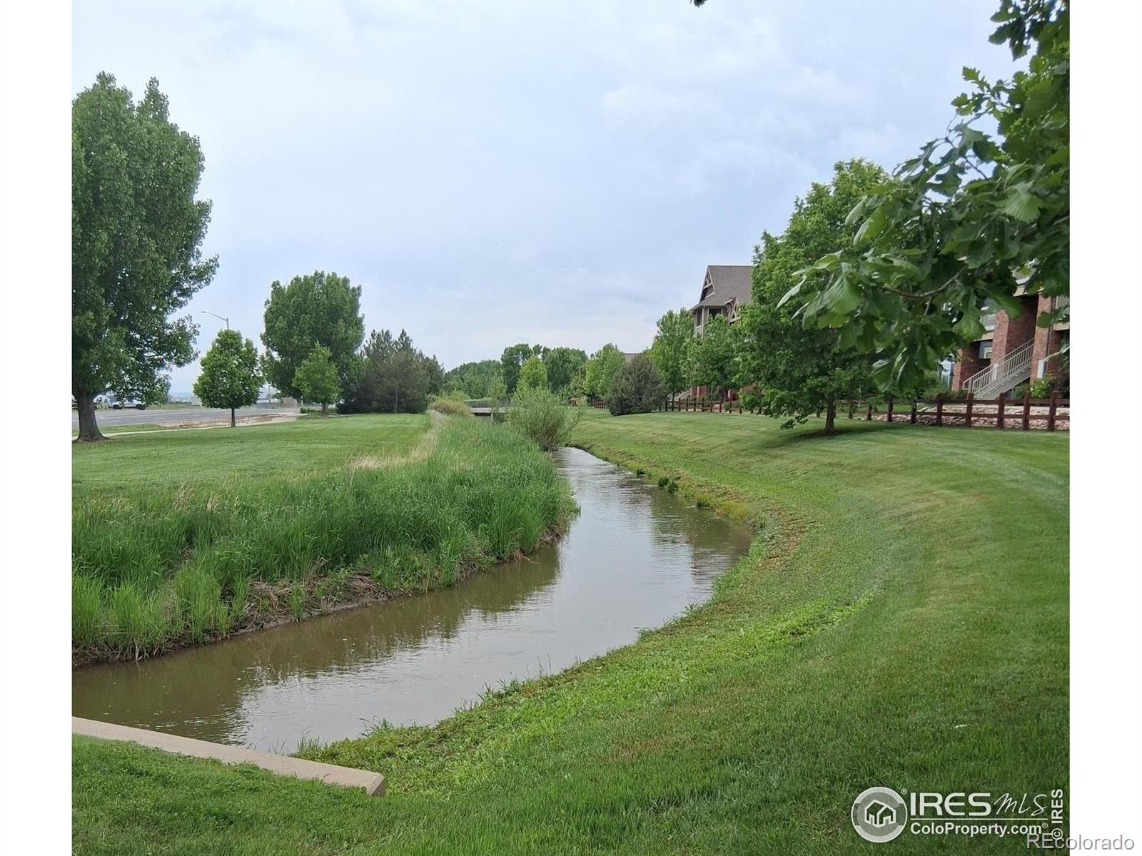 MLS Image #20 for 804  summer hawk drive,longmont, Colorado