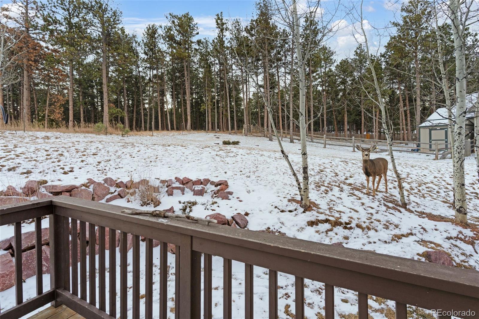 MLS Image #45 for 1157  ptarmigan drive,woodland park, Colorado