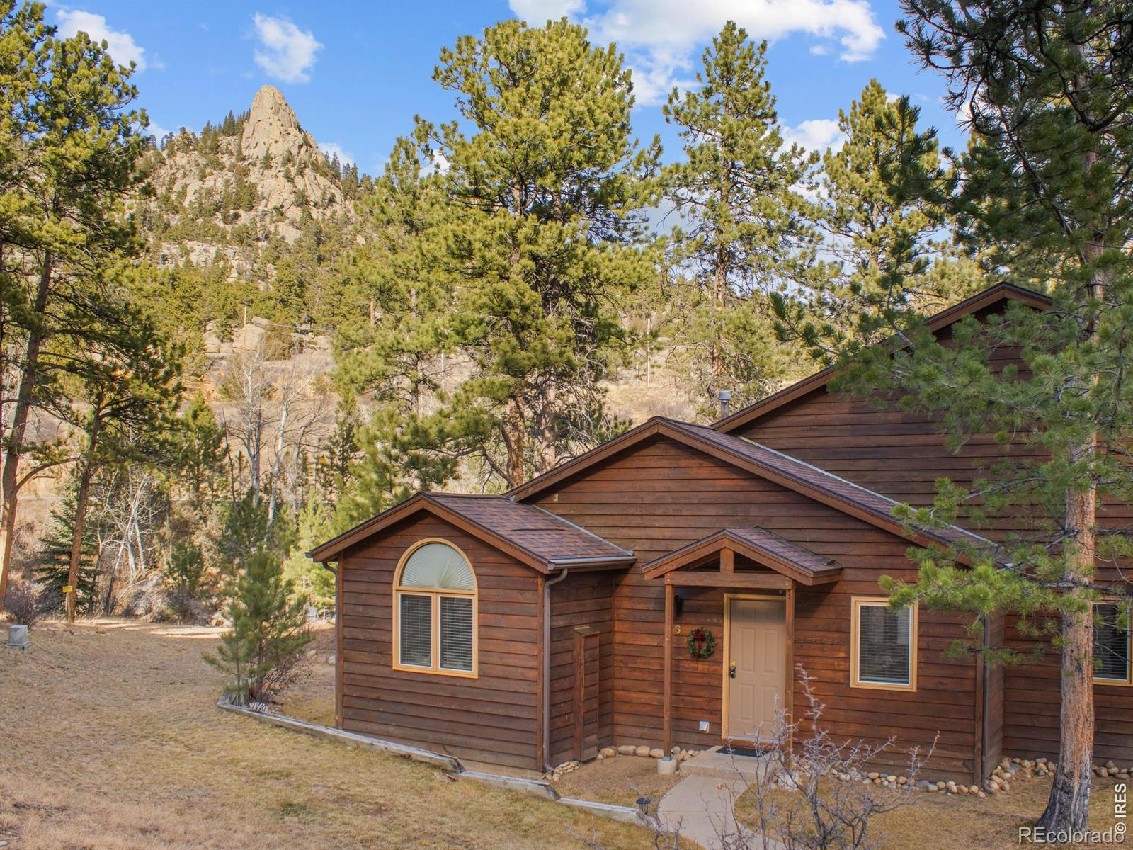 MLS Image #1 for 525  fall river lane,estes park, Colorado