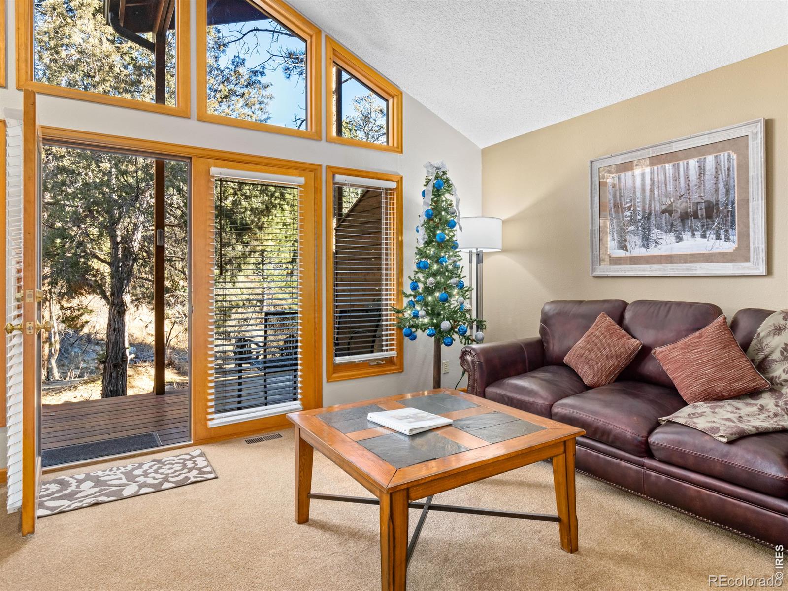 MLS Image #13 for 525  fall river lane,estes park, Colorado