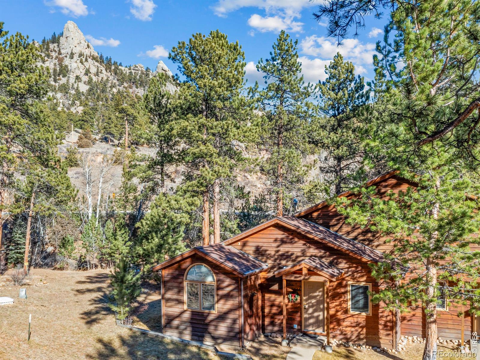 MLS Image #19 for 525  fall river lane,estes park, Colorado