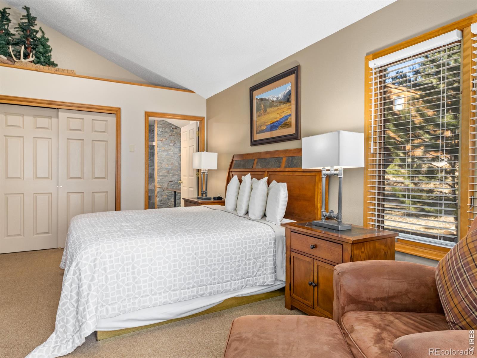 MLS Image #23 for 525  fall river lane,estes park, Colorado